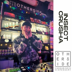 Insect Crusha - Live @ Otherside
