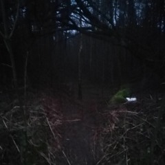 B2B Im Dachgeschoss Dark Libra - Schleud4tr4um4// 190-200bpm Hitech