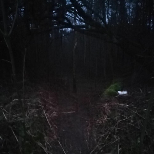 B2B Im Dachgeschoss Dark Libra - Schleud4tr4um4// 190-200bpm Hitech