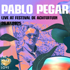 Pablo Pegar live @ Festival De Achtertuin w/ Nick Warren, Guy Mantzur, Jeremy Olander, Callecat