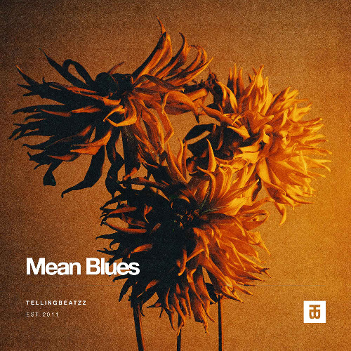 Blues Rap Type Beat with Hook - "Mean Blues" Instrumental