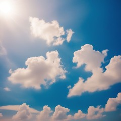 夏の思い出