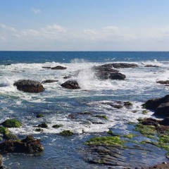 Tsunami - NIKI (cover)