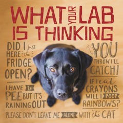 ❤ PDF/ READ ❤ What Your Lab is Thinking bestseller