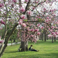 Healing through Grief: Joanna Laws Landis