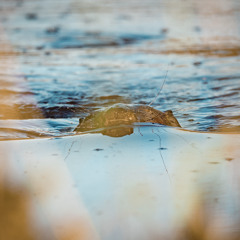 Silent Architects Podcast