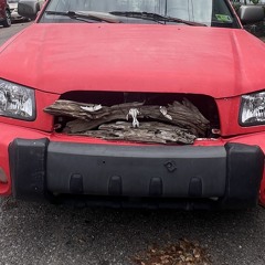 Whip Sum D’s (Rusty Lazer)