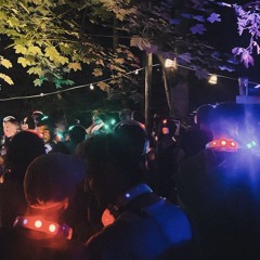 Into The Silent Woods - Live Set