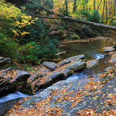 les chemins de l'enfance