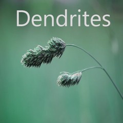 Dendrites