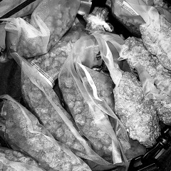 no drugs