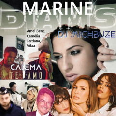 Diam's x Calema - Marine No Te Amo (Amel Bent, Camélia Jordana, Vitaa - Dj michbuze Kizomba Mashup Anti Le Pen 2025)