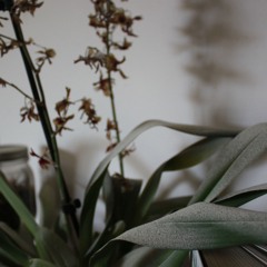 4THS OF NATUJRE (feat. Shangyu Hsu and Michael Schwartz)