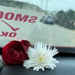 Tears of Solitude - Desp4ir x auraember