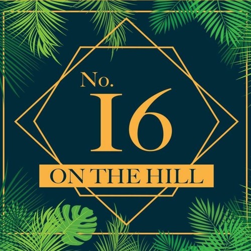 Live @ No.16 on the Hill