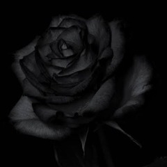 Ta lal Pari ye jeny (slowed + reverb)#khattak lines.m4a