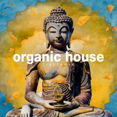Organic House Music by Tibetania | Roots of Sound | Buddha Vibes Mix 2025