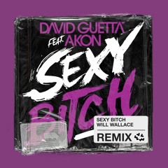 David Guetta Ft. Akon - Sexy Bitch (Will Wallace Remix)