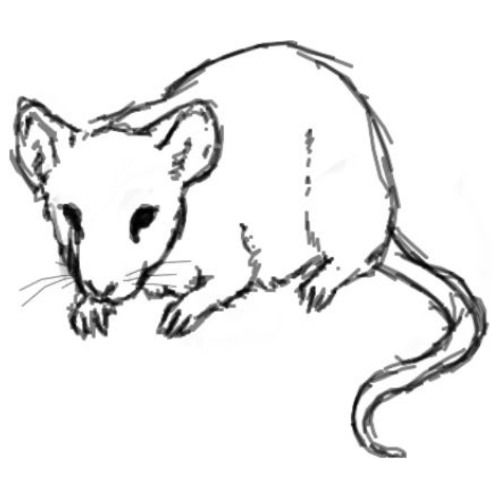 I Feel Like Im Going To Cry