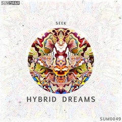 SEEK - HYBRID DREAMS //SUM0049