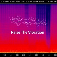 Raise The Vibration (Feat Danny Rampling)