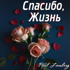 Спасибо, жизнь