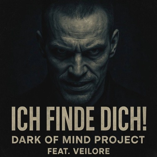 Ich finde DICH! (feat. Veilore)