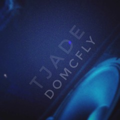 TJADE - DoMcFly