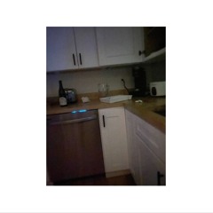 dishwasher freestyle