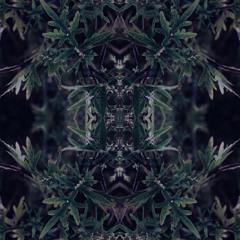 Artemisia