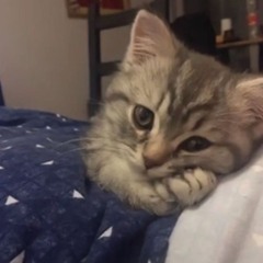 everyday i wanna d!e