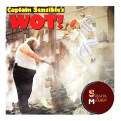 Captain Sensible - Wot (Soulful Mashup)
