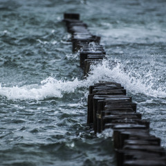 WAVE