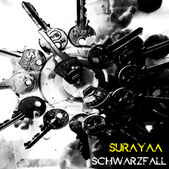 Schwarzfall