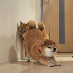 She Loves [Prod. RICHtone]