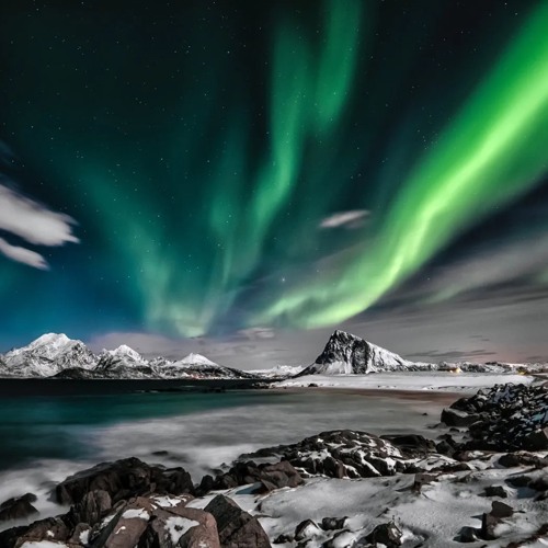 Borealis