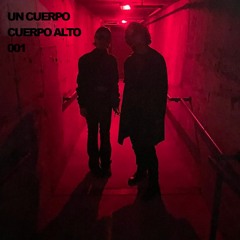 CUERPO ALTO 001