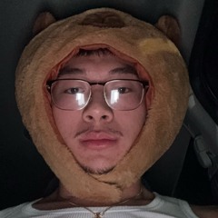 Dub Not Sub