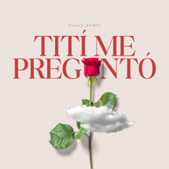 Bad Bunny - Tití Me Preguntó (ZIGGY Remix)