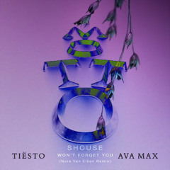 Shouse & Nora Van Elken vs. Tiësto & Ava Max - Won't Forget The Motto (XABI ONLY Edit)