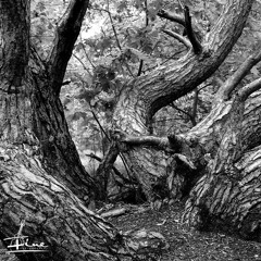 Relax piano improvisation by #ZoriyFine