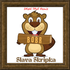 SLAVA SKRIPKA - Бобр (DRoN TRuE Remix)