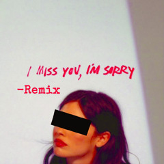 I Miss You, I'm Sorry (Remix)