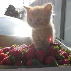 Безделье (prod. mellora)