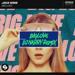 Jack Wins - Big Love (DJ Harry Remix)