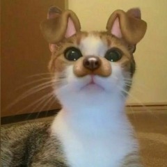 Nyan Nyan Nyan Nyan Nyan Nyan Nyan Nyan Nyan Nyan Nyan Nyan Nyan Nyan Nyan Nyan Nyan Nyan Nyan Nyan