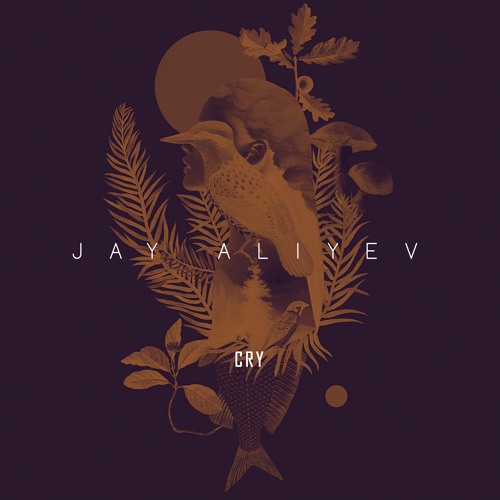 Jay Aliyev - Cry
