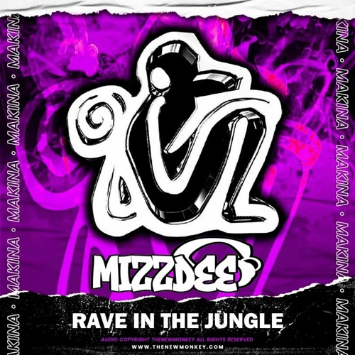 Mizz dee-Mulhouse  Rave In The Jungle Sample