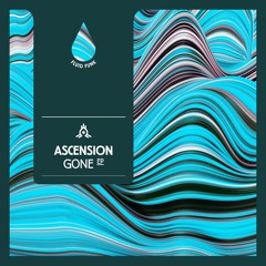 GONE EP [Fluid Funk]