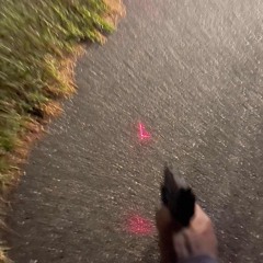 L A Z E R F R E E S T Y L E $!$ (Unreleased)
